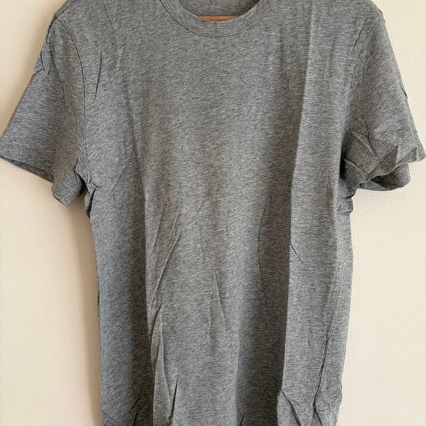 제임스펄스 James Perse / 그레이 티셔츠 / 1