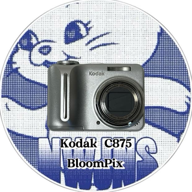 [뉴진스디카/풀구성] 코닥 C875 Kodak C875 디지털카메라
