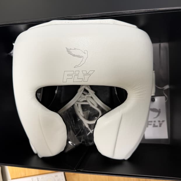 플라이X라인 T자형 헤드기어