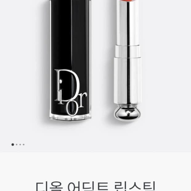 Dior 디올 어딕트 립스틱 화장품 744