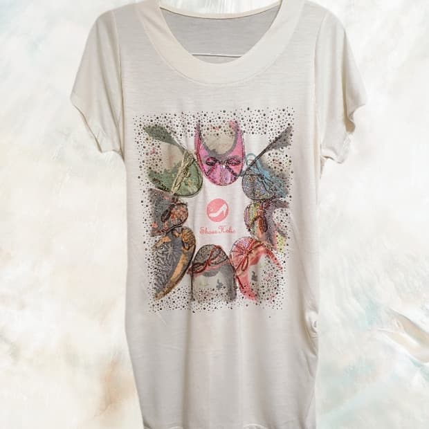 Vintage Fairy Shoes Top