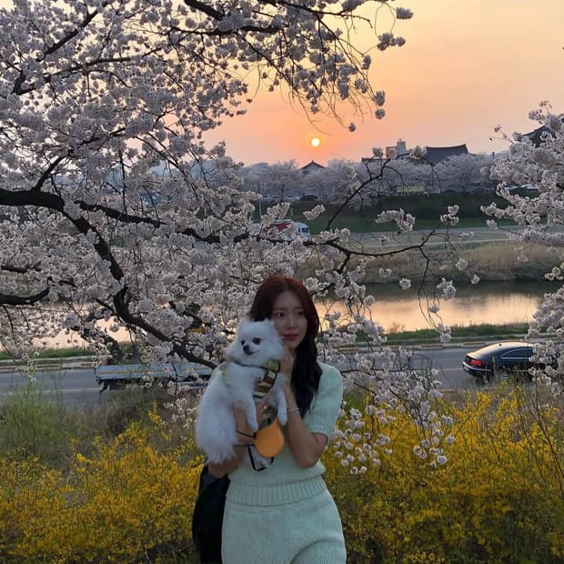 제이리움 셋업