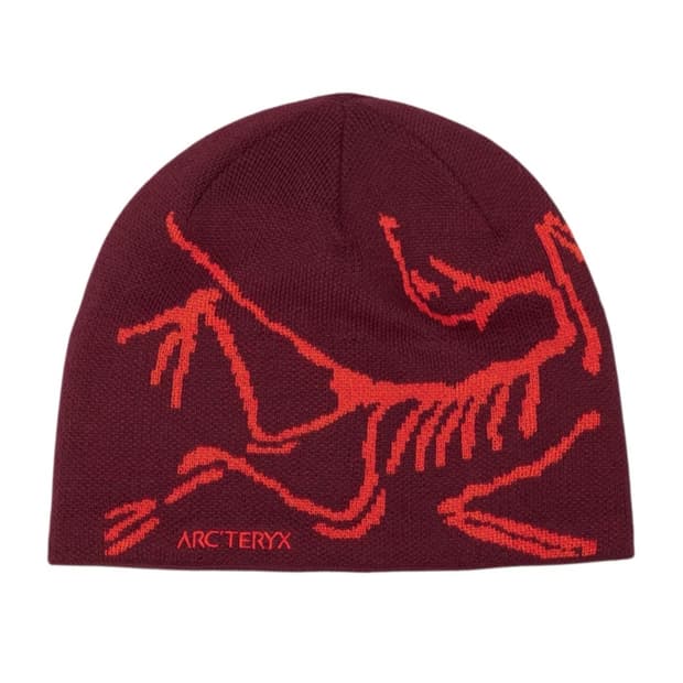 아크테릭스 버드 헤드 토크 비니