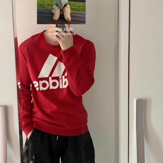 Adidas big logo Sweatshirt L