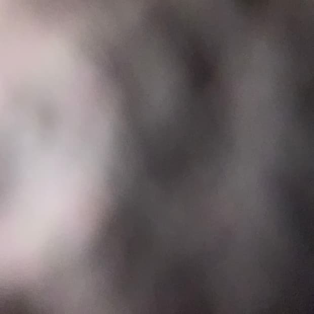 dahy***님 개인 결제창