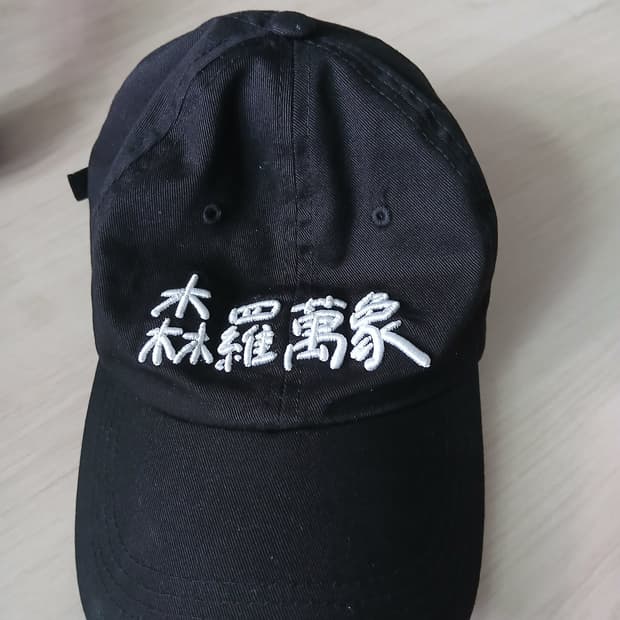 침착맨 볼캡 삼라만상