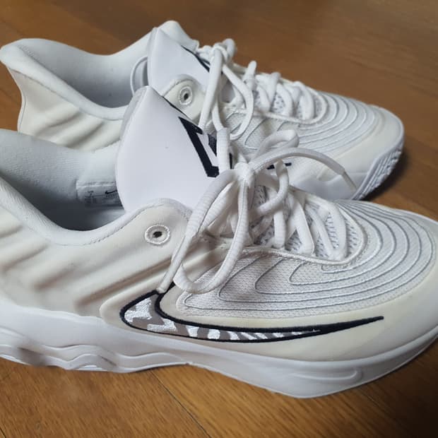 나이키 야니스 화이트 250