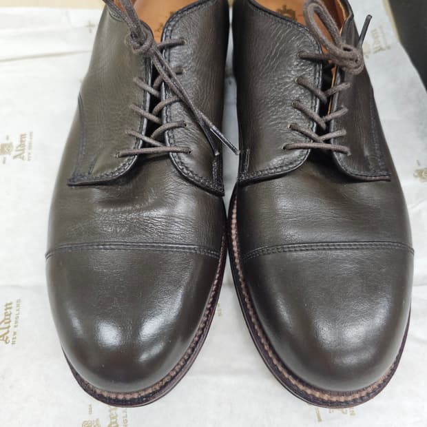 알든 95721 캡토 더비 7D (250~255/샌프란시스코 별주)