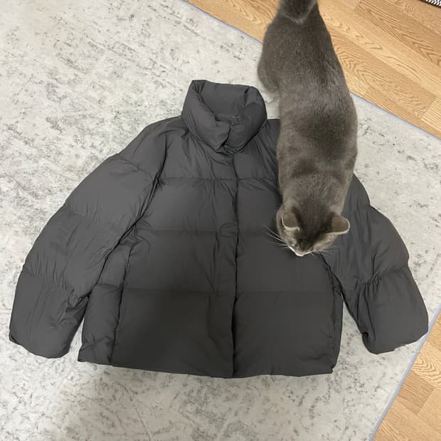 유니클로 파우더 소프트 패딩 차콜 L