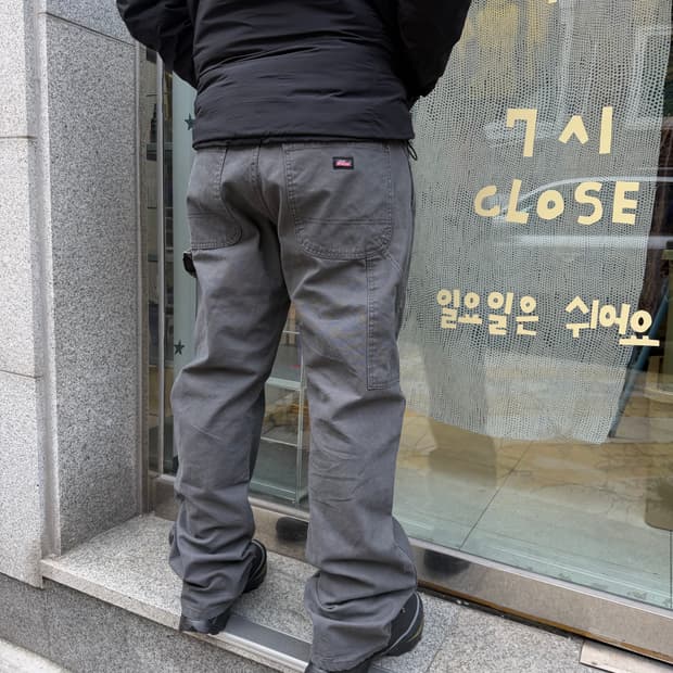 Dickies carpenter (36X32)