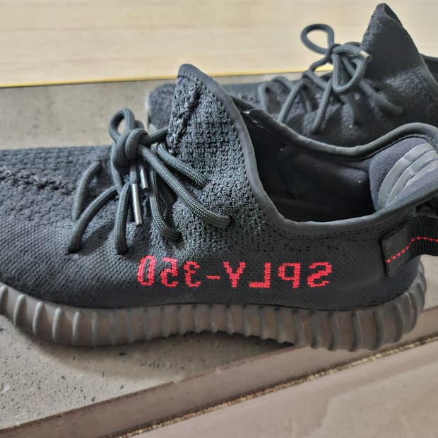 이지 350  브레드