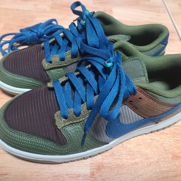 나이키 덩크 카카오와우 260