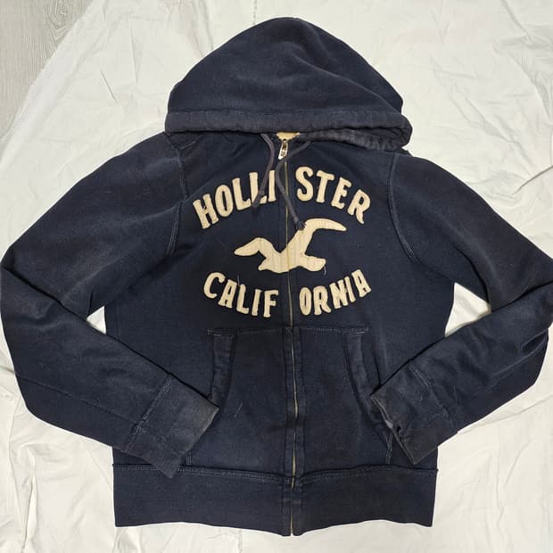 홀리스터 대장급 y2k 핀터깔 아치로고 후드집업 L