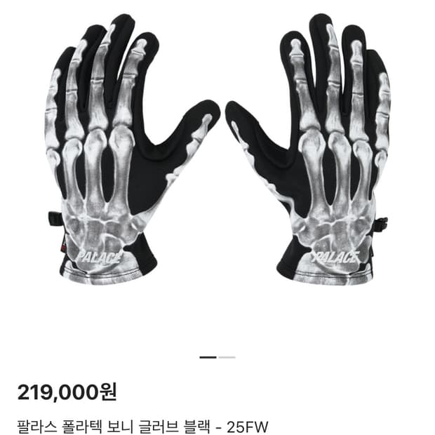 [S-M] 팔라스 폴라텍 보니 글러브 블랙 - 25FW