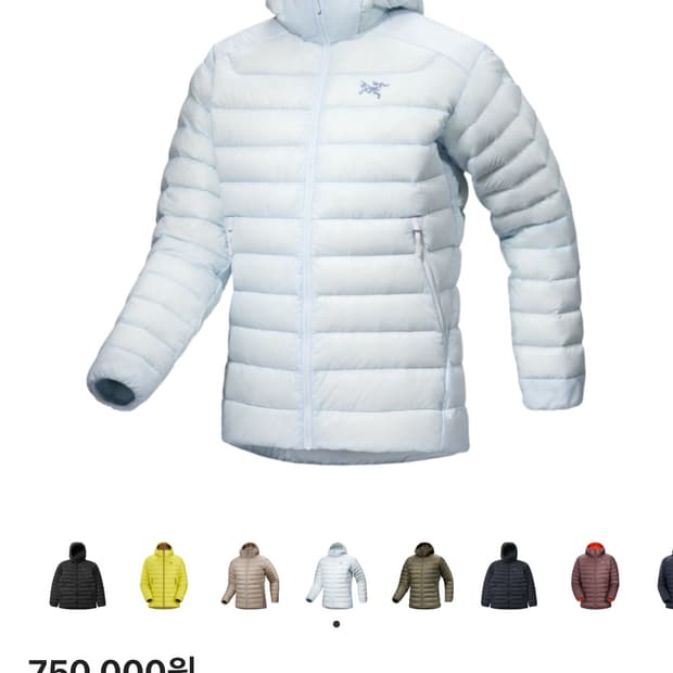 아크테릭스 세륨 후디 데이브레이크