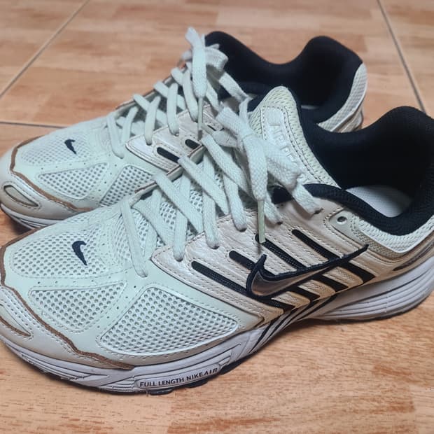 나이키 페가수스 2K5 씨글래스팬텀 W275(265추천)