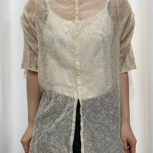 seethrough blouse