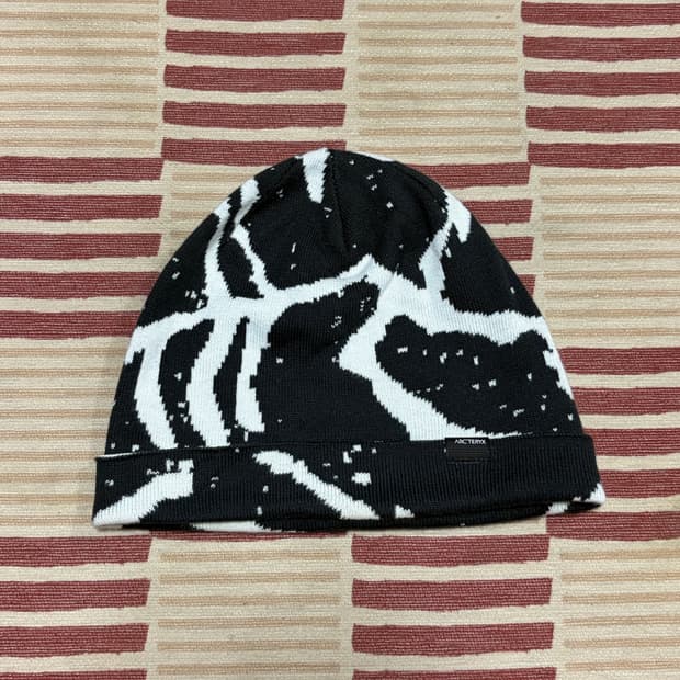 아크테릭스 비니