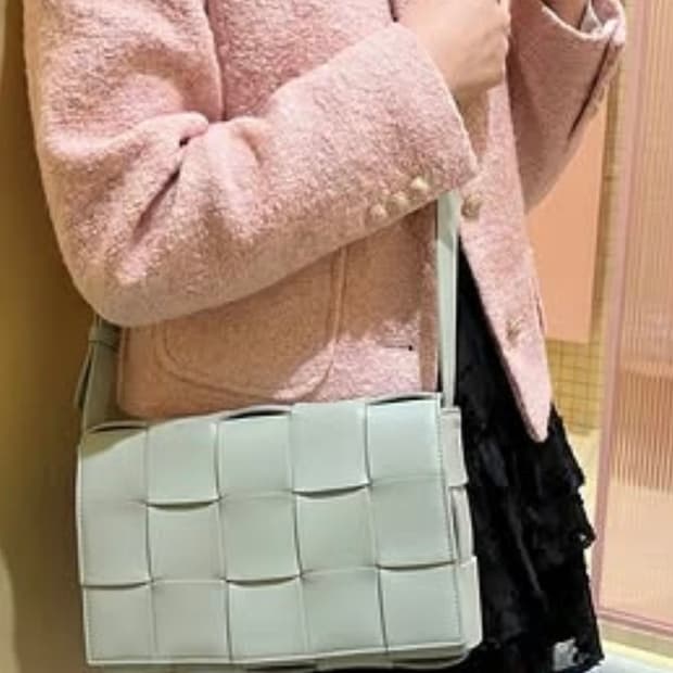 보테가백