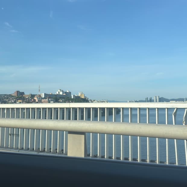 1199 bazo 캣 결제창