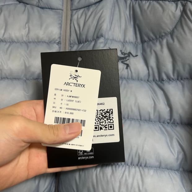 아크테릭스 세륨 후디 루센트 L