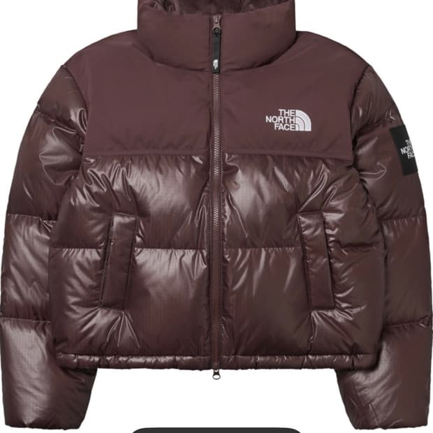 (W) 노스페이스 화이트 라벨 노벨티 눕시 다운 자켓