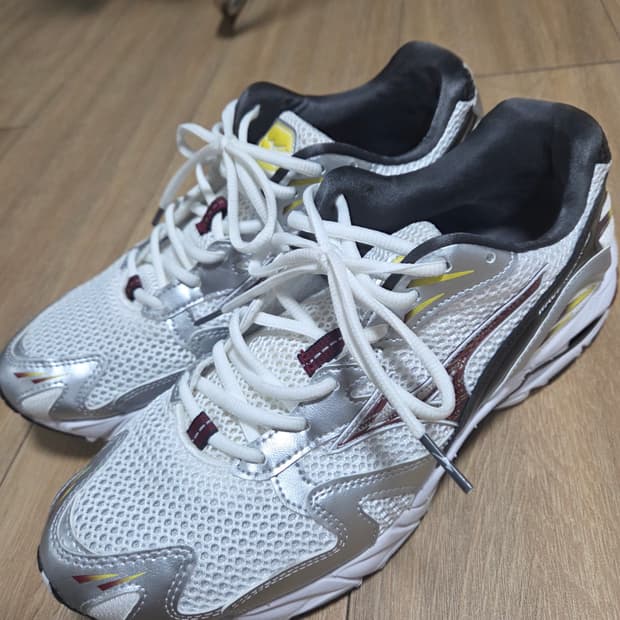 [270] 미즈노 웨이브 라이더 10 - 화이트:카베르네:실버