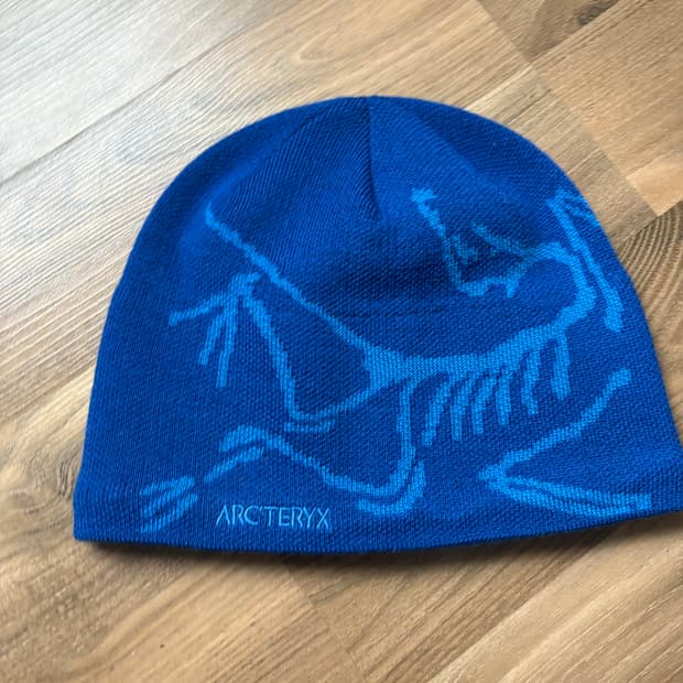 아크테릭스 버드 헤드 토크 비니 파랑