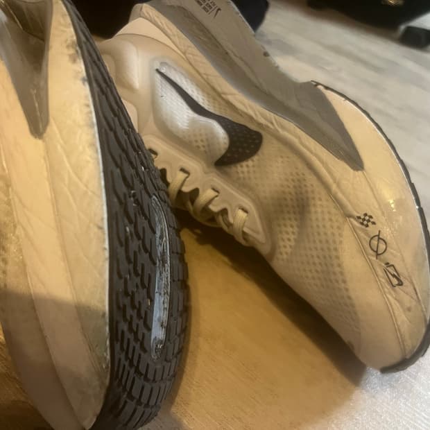 나이키 줌플라이6 플레티넘 270