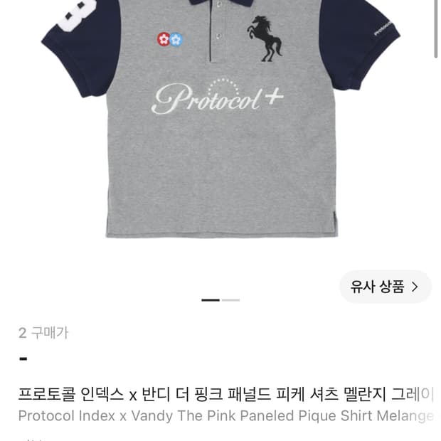 프로토콜인덱스 반디더핑크 폴로티