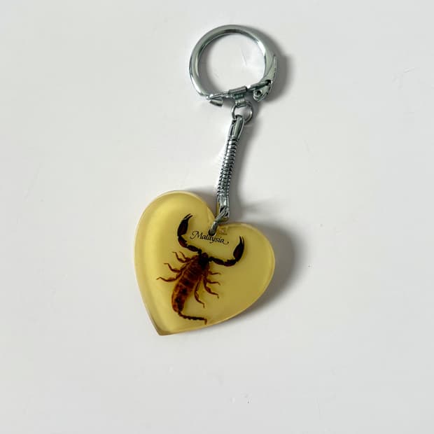 전갈 하트키링 🦂