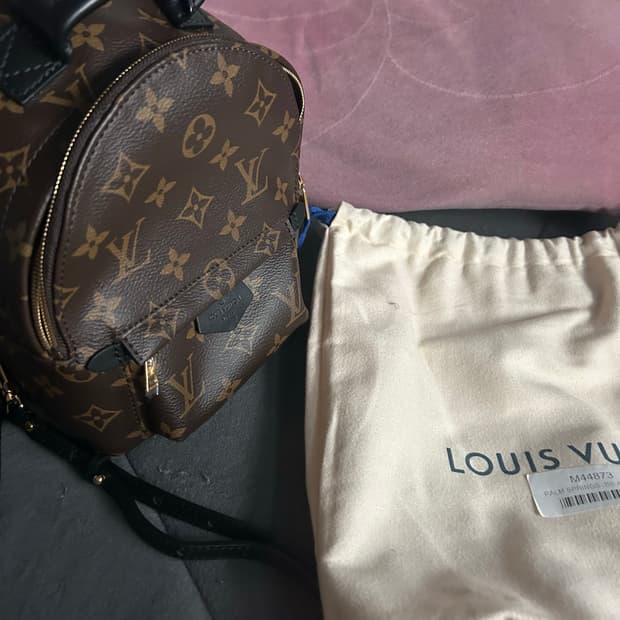 루이비통 팜스프링 백팩 미니