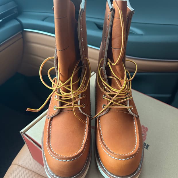 레드윙 877 (9d) 새제품