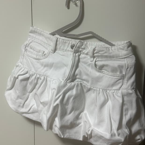 zara skirt