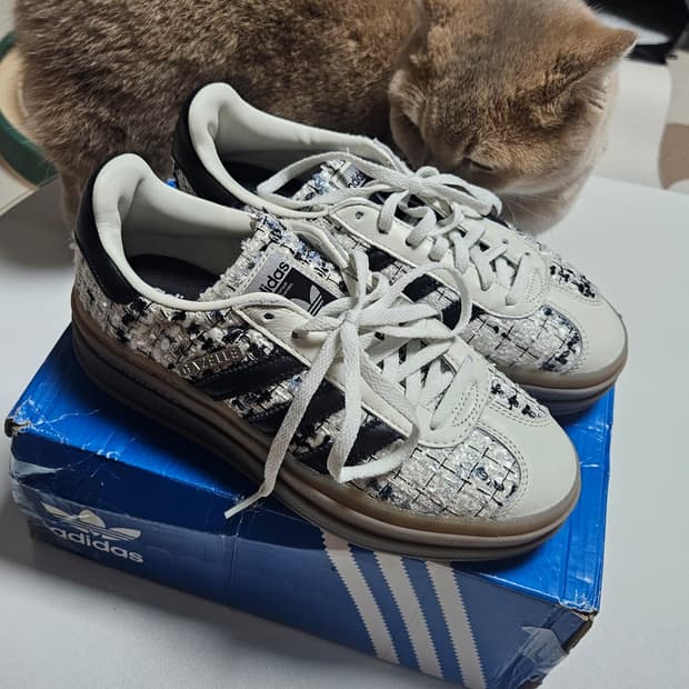 아디다스 통굽 트위드 가젤