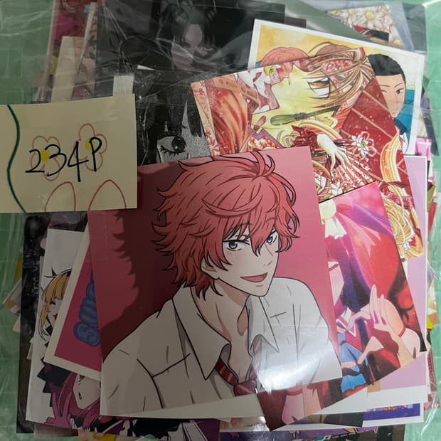 11월까지처분|애니 도무송 세트 처분