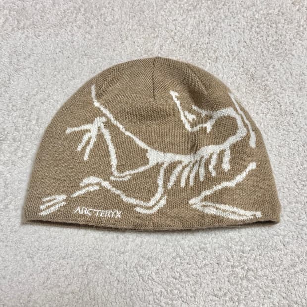 아크테릭스 비니