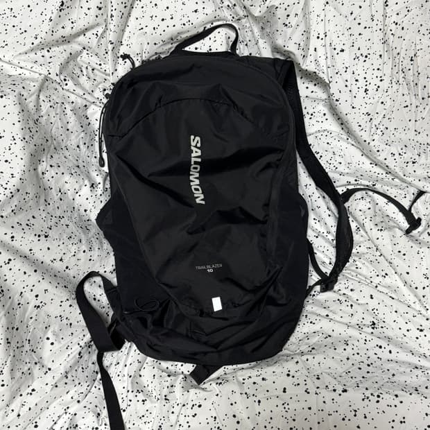 살로몬 트레일블레이저 10