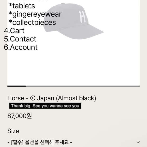 테프스토어즈 볼캡 라지