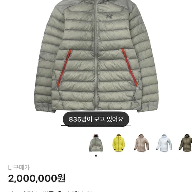 아크테릭스 해비타트 세륨 라지