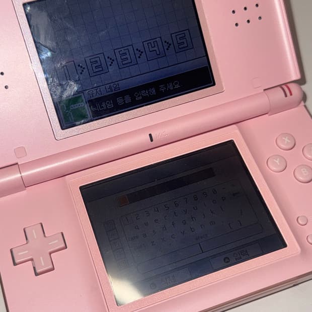 닌텐도 ds lite 핑크