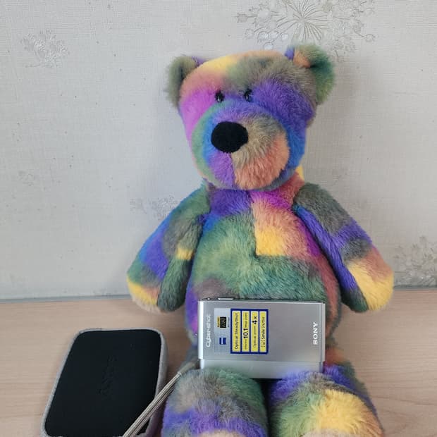 소니 사이버샷 DSC-T77 똑딱이 디카+케이스