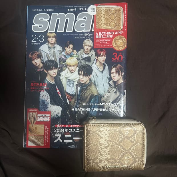 베이프 지갑 잡지 부록 새상품 25년 2월 3월