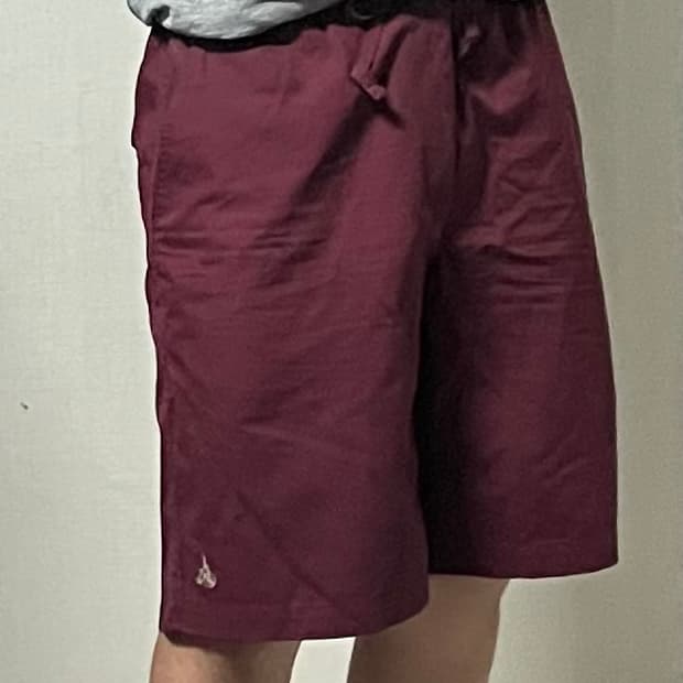 빈폴 버건디 하프 팬츠 (31)
