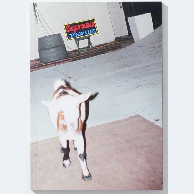 슈프림 썬 데미지 by 하모니 코린 포토북