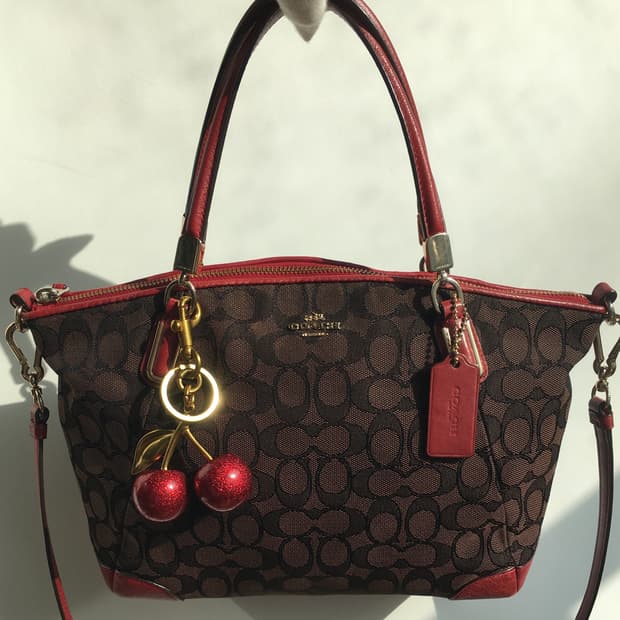 코치 켈시 아웃라인 시그니처 사첼백 레드