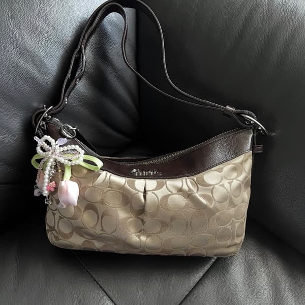Coach Signature Ashley