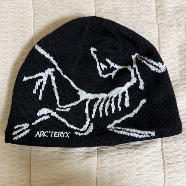 아크테릭스 비니 새상품급