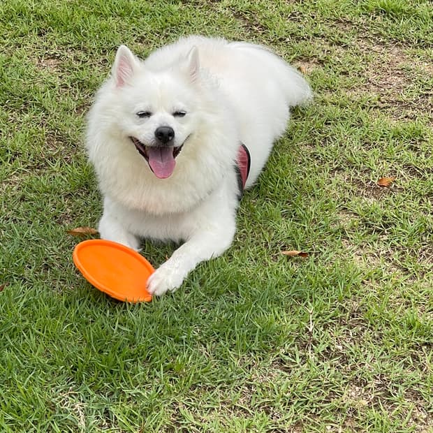 44포워드님 예약