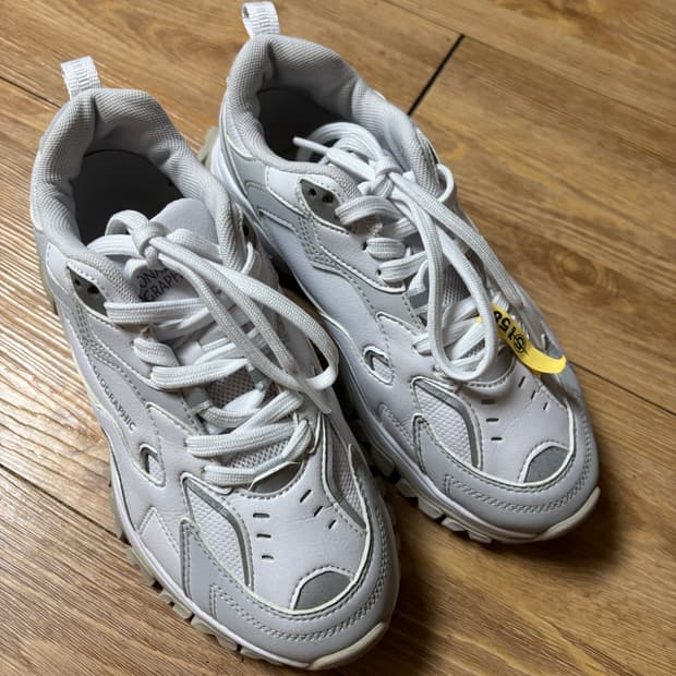 내셔널지오그래픽 스니커즈